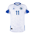 2026 Bosnia and Herzegovina Away